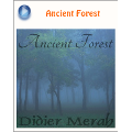 Didier Merah『Ancient Forest』ブログパーツ