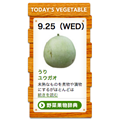 野菜果物辞典 Today&#039;s Vegitableブログパーツ